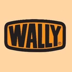 מנעול חבוי WALLY